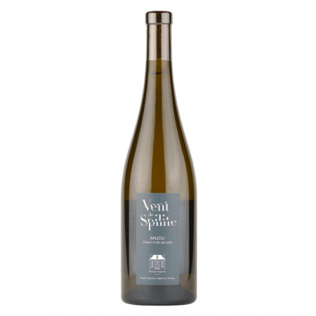 Domaine Ogereau Anjou blanc spilite 2022