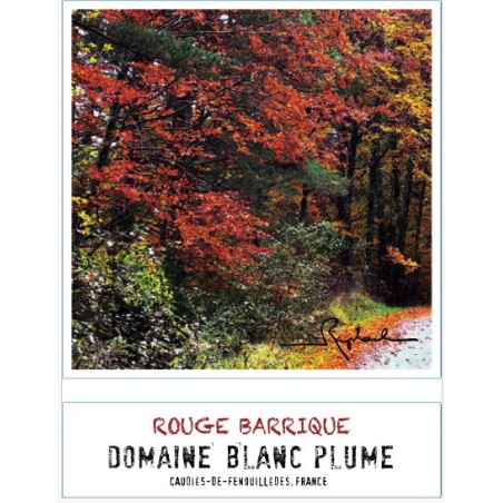 Domaine Blanc Plume Rouge Barrique 2020