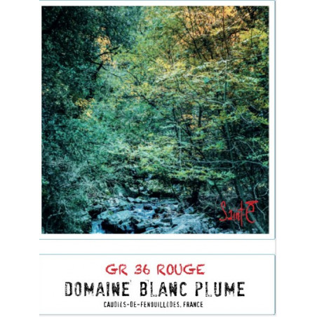 Domaine Blanc Plume GR 36 rouge 2021