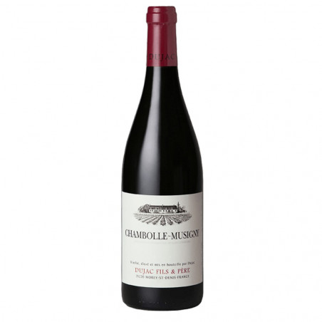 Dujac Père et Fils Chambolle Musigny 2022