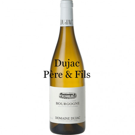 Dujac Père et Fils Bourgogne Blanc 2018