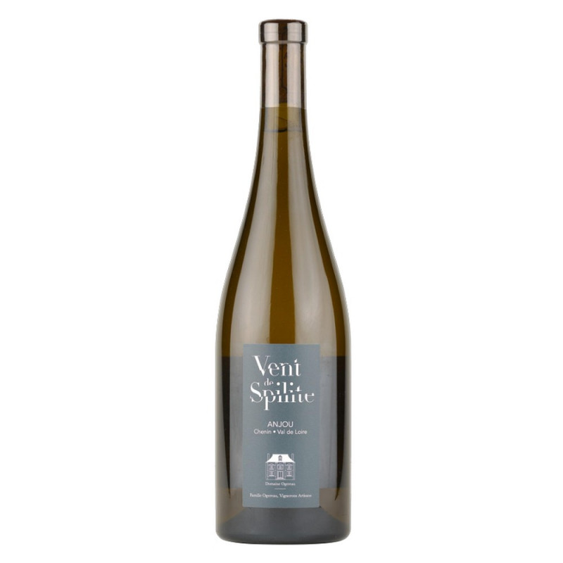 Vent de spilite 2021 - Anjou Blanc - Domaine Ogereau | Grands vins