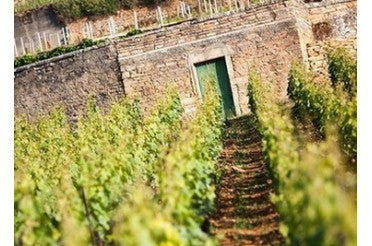 Quel plat avec un Chassagne-Montrachet ? Nos accords mets & vins d’exception