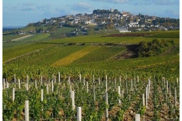 La cuvée du jour : Sancerre la Côte des Monts Damnés 2022 du Domaine Henri Bourgeois