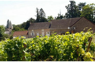 Givry 1er Cru 2022 Clos Salomon : accords mets & vins d’un grand Bourgogne