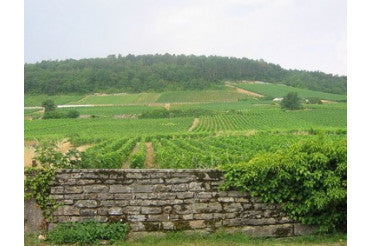 Avec quoi boire un Gevrey-Chambertin ? Nos accords mets & vins incontournables