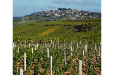 Quel plat avec un Coteaux du Giennois ? Accords mets & vins pour blanc, rouge et rosé