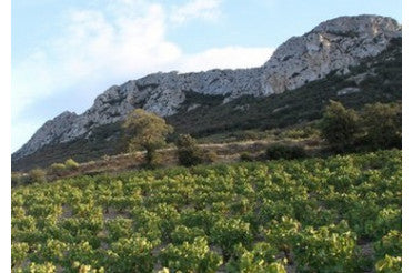 Muscat de Rivesaltes : accords mets & vins pour un vin doux du Roussillon