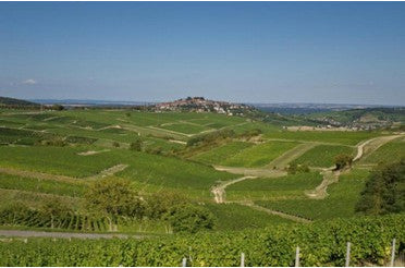 Beaujolais-Villages : Accords Mets & Vins pour Sublimer Vos Repas