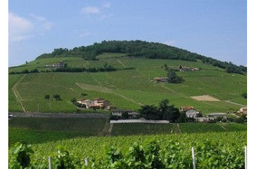 Quel plat avec un Brouilly ? Nos meilleurs accords mets & vin rouge du Beaujolais