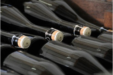 Les cépages du Champagne : Pinot Noir, Meunier et Chardonnay expliqués en détail