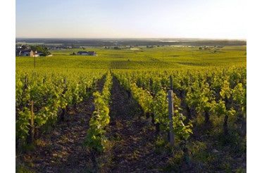 Quel plat avec un Clos de la Roche Grand Cru ? Nos accords mets & vin de prestige