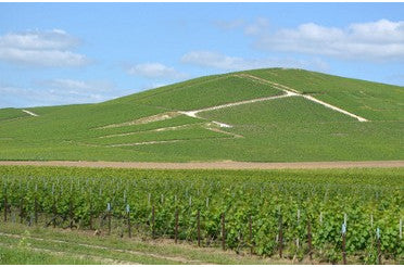 Coteaux Champenois : quels accords mets & vins pour ce vin rare de Champagne ?