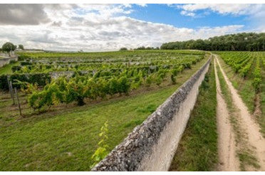 Que manger avec un Gigondas ? Nos meilleurs accords mets & vins