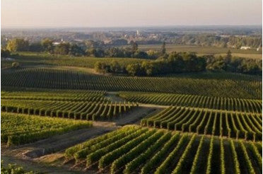 Moulis-en-Médoc : Accords Mets & Vins pour accompagner Vos Repas