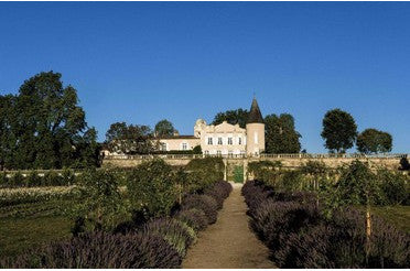 Quel plat servir avec un vin de Pauillac ? Les meilleurs accords mets & vins