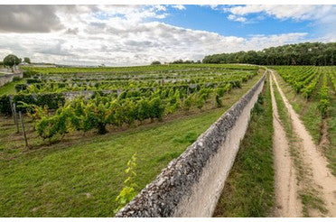 Avec quoi accorder un Saumur-Champigny ? Nos conseils pour des accords réussis