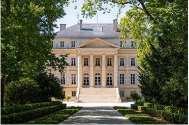 Les principaux cépages de Bordeaux : Merlot, Cabernet Sauvignon, Cabernet Franc