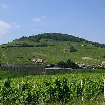 AOC Brouilly