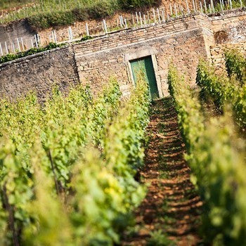 AOC Hautes Côtes de Beaune