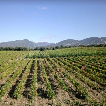 Domaine Gramenon