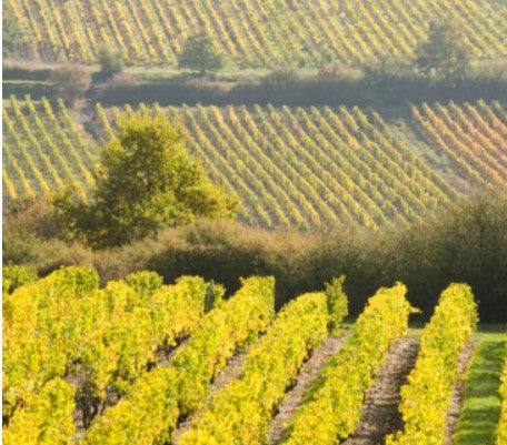 AOC Vouvray