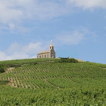 Domaine des Terres dorées