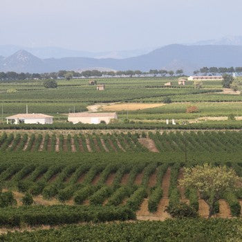 AOC Languedoc