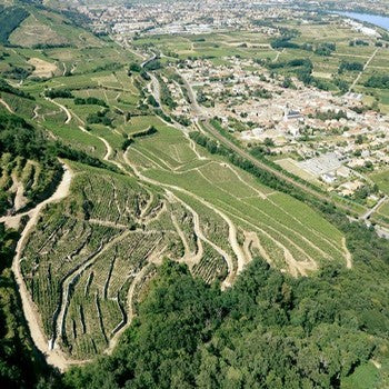 Domaine Jérôme Coursodon