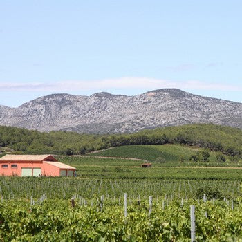 AOC Côtes du Roussillon villages