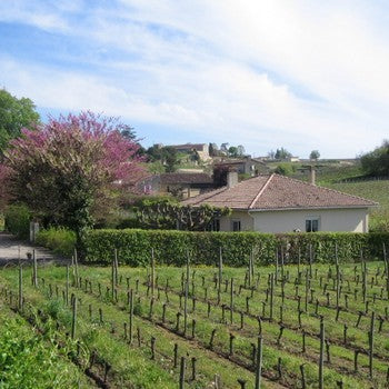Côtes de Castillon