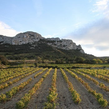 Domaine Pouderoux à Maury