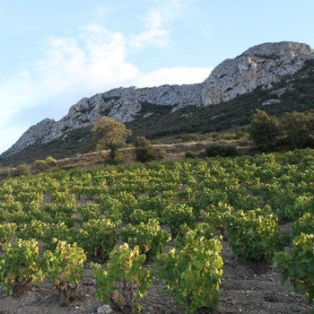 Domaine La Nouvelle Donne