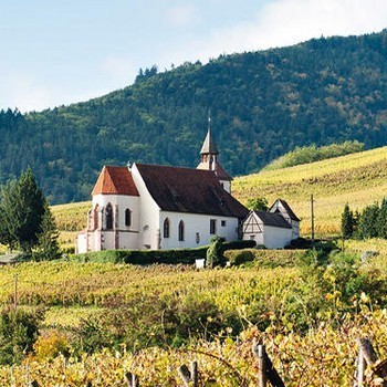 Alsace premier cru