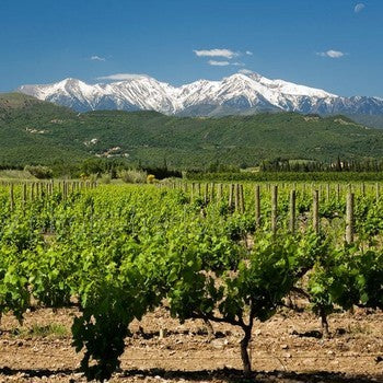 AOC Rivesaltes