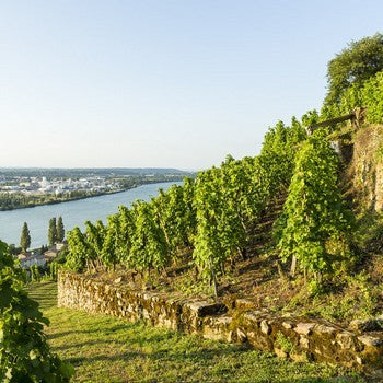 Côte-Rôtie