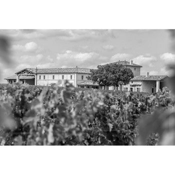 Château Chasse Spleen
