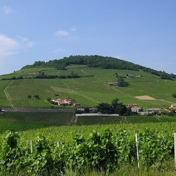 AOC Beaujolais Villages