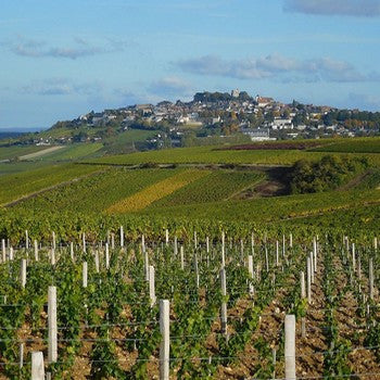 AOC Côteaux du Giennois