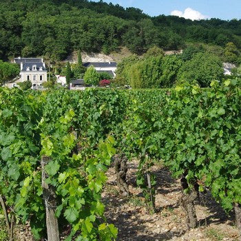 AOC Saumur