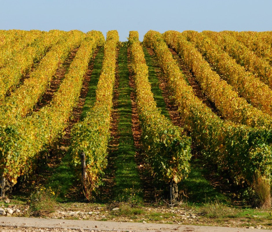 AOC Quarts de Chaume Grand cru