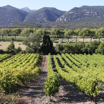 Clos Maia