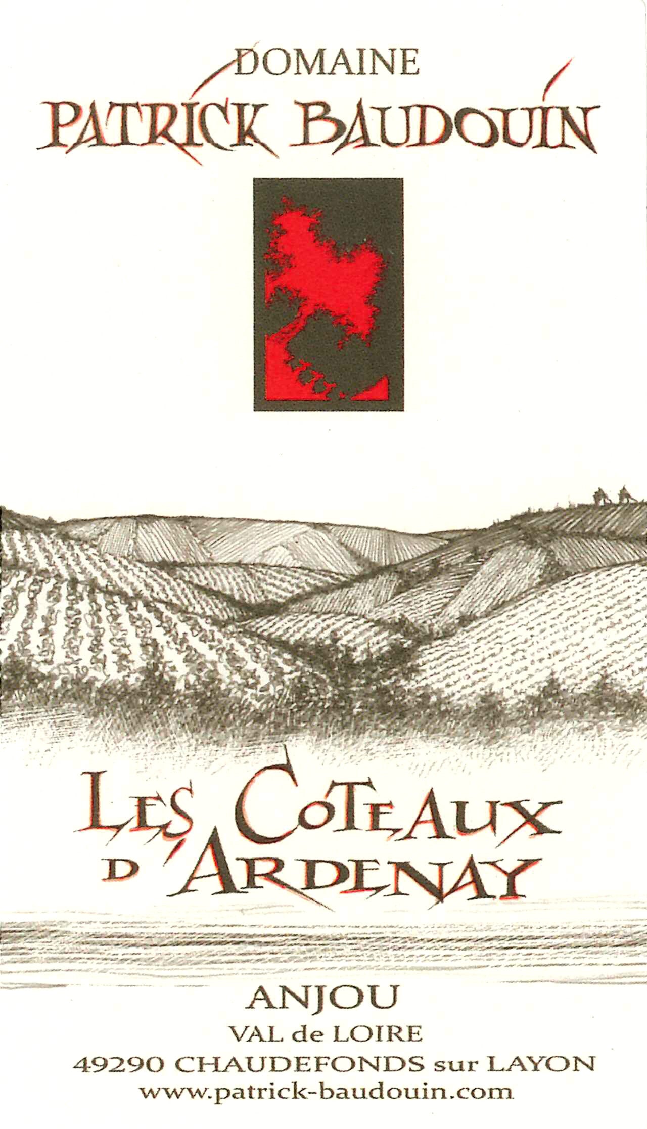 Patrick Baudouin Anjou rouge les Côteaux d'Ardenay 2018