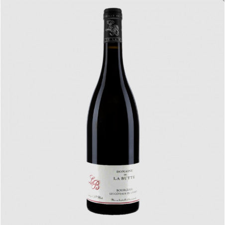 Domaine de la Butte Jacky Blot Bourgueil Haut de la Butte 2022