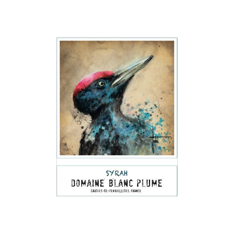 Domaine Blanc Plume "Le Pic Noir" 2019