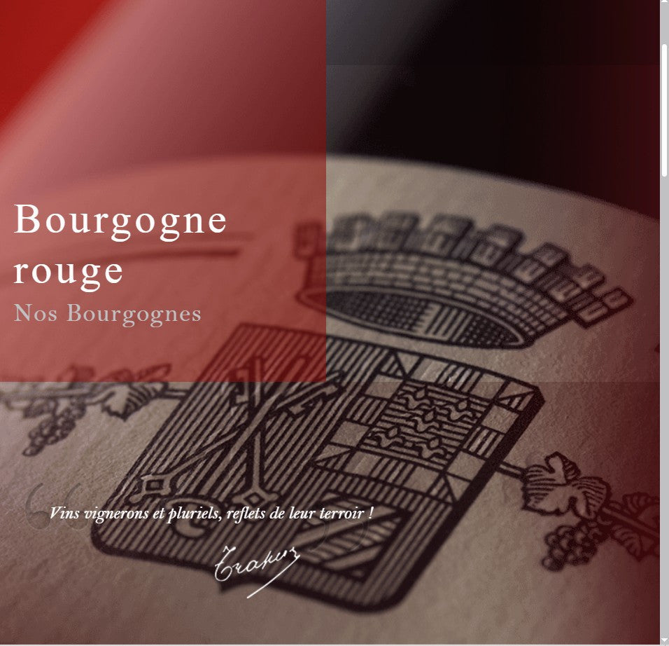 Domaine Jean-Louis Trapet Bourgogne Pinot Noir 2023