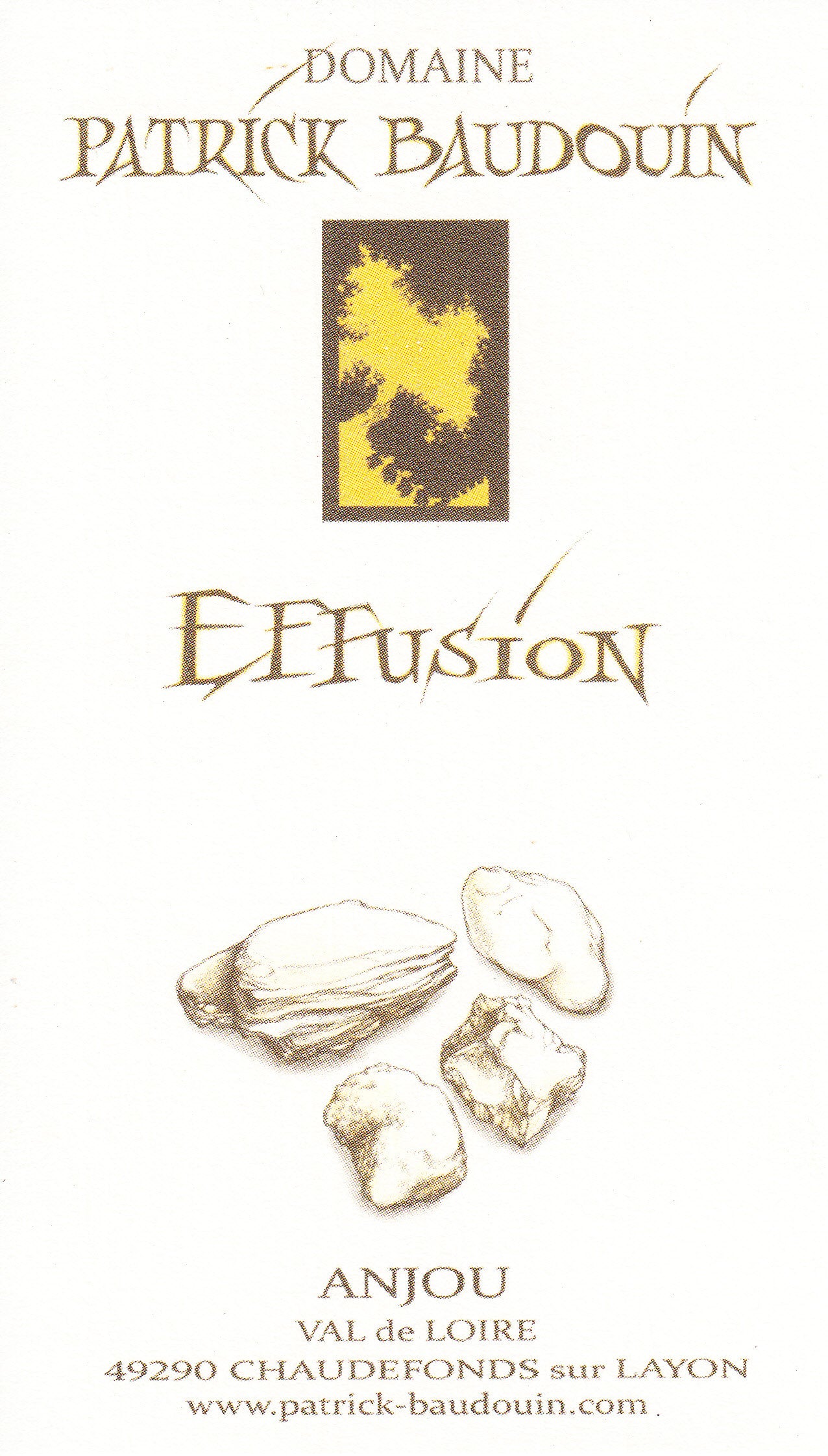 Patrick Baudouin Anjou blanc Effusion 2020